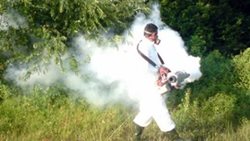 V Faza površinske dezinsekcije od 12 – 17 septembra